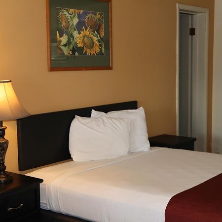 Black Canyon Motel Montrose Ngoại thất bức ảnh