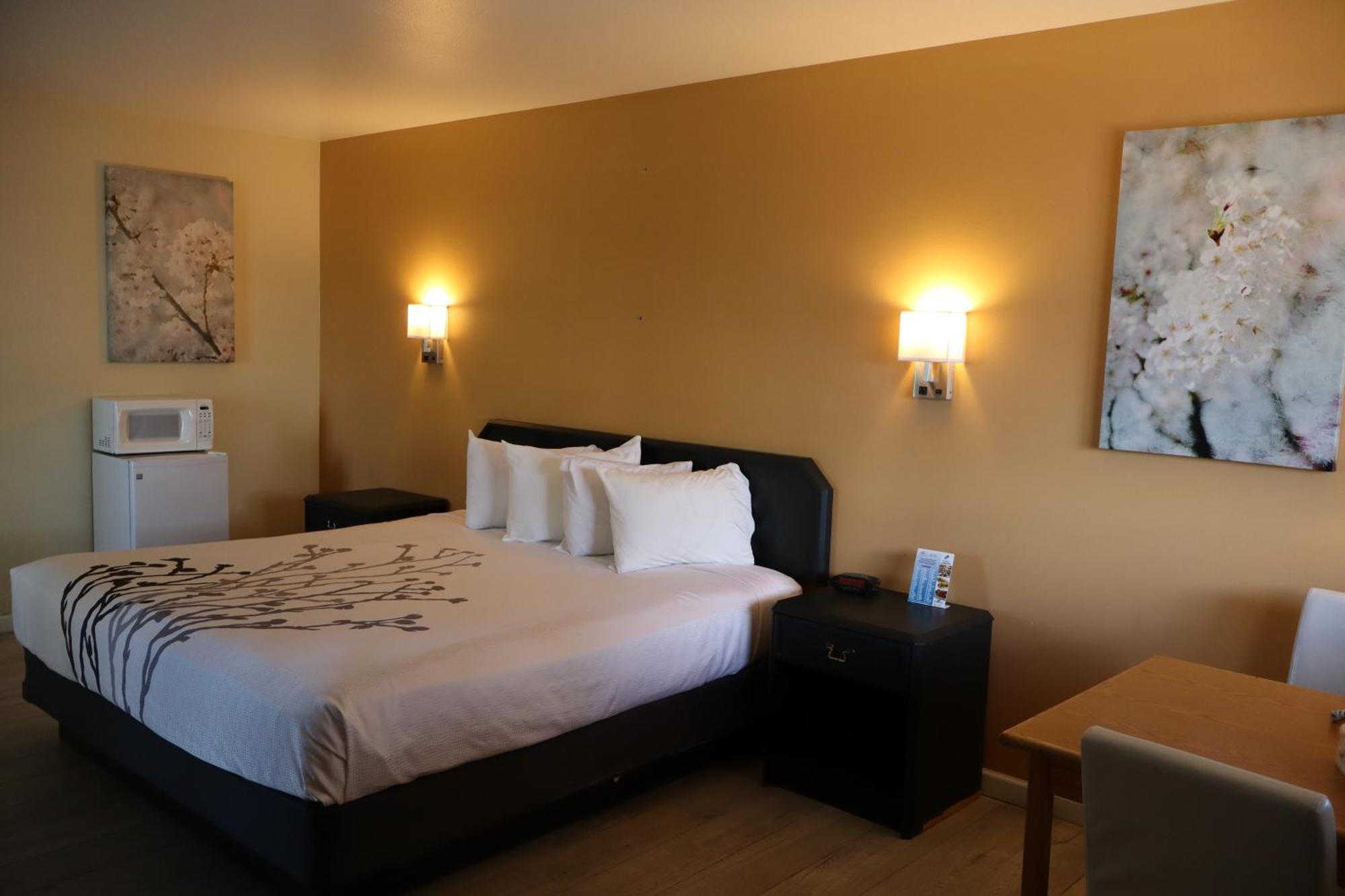 Black Canyon Motel Montrose Ngoại thất bức ảnh