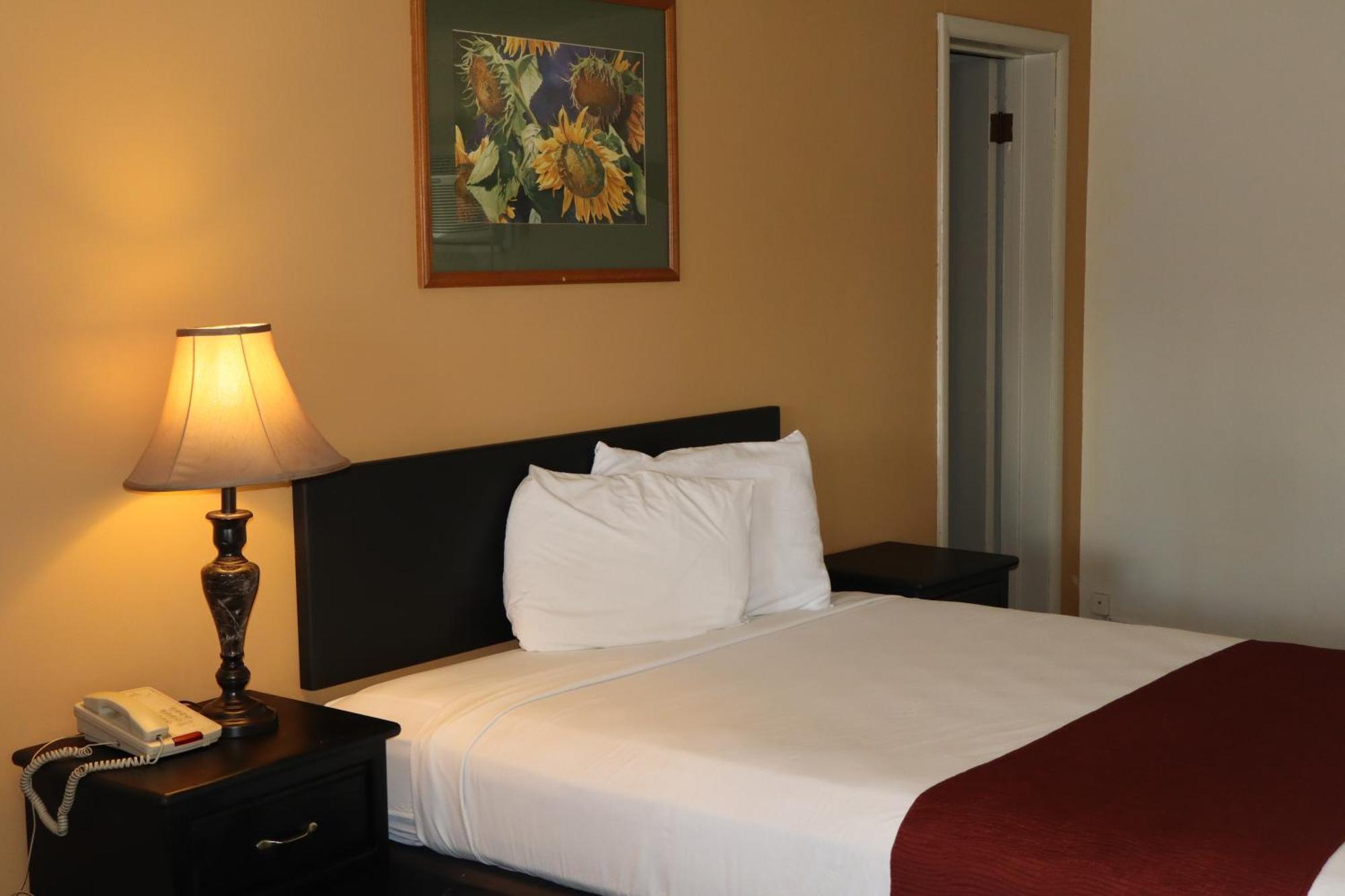 Black Canyon Motel Montrose Ngoại thất bức ảnh